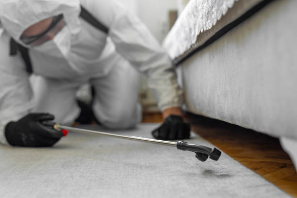 Professional Pest Control technician working in Divide County County, ND